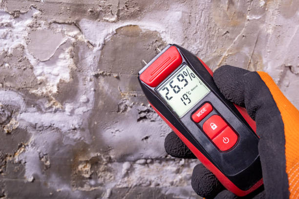 Best Commercial Mold Remediation in Pardeeville, WI