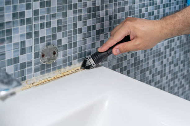 Best Kitchen Mold Remediation in Pardeeville, WI