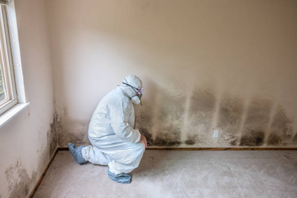 Best HVAC Mold Remediation in Pardeeville, WI