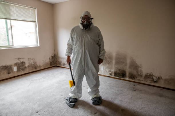 Best Residential Mold Remediation in Pardeeville, WI
